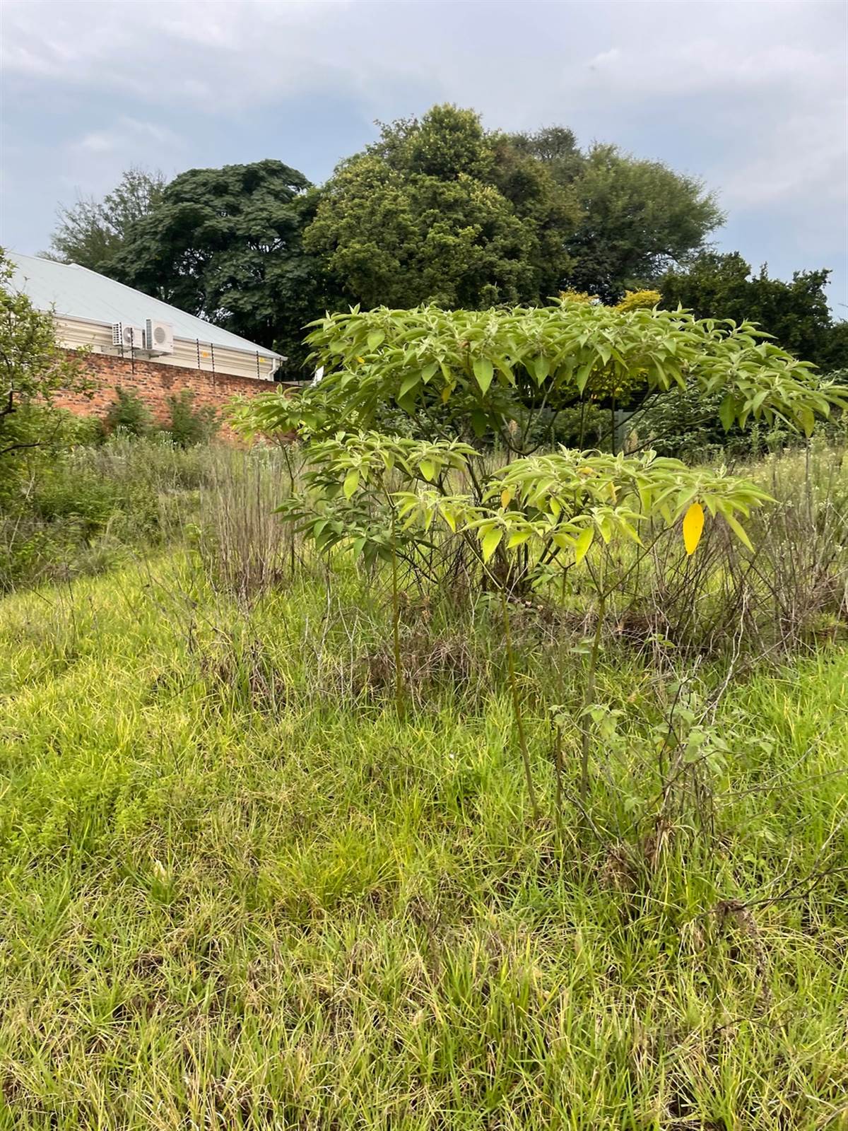2200 m² Land available in Bryanston photo number 7