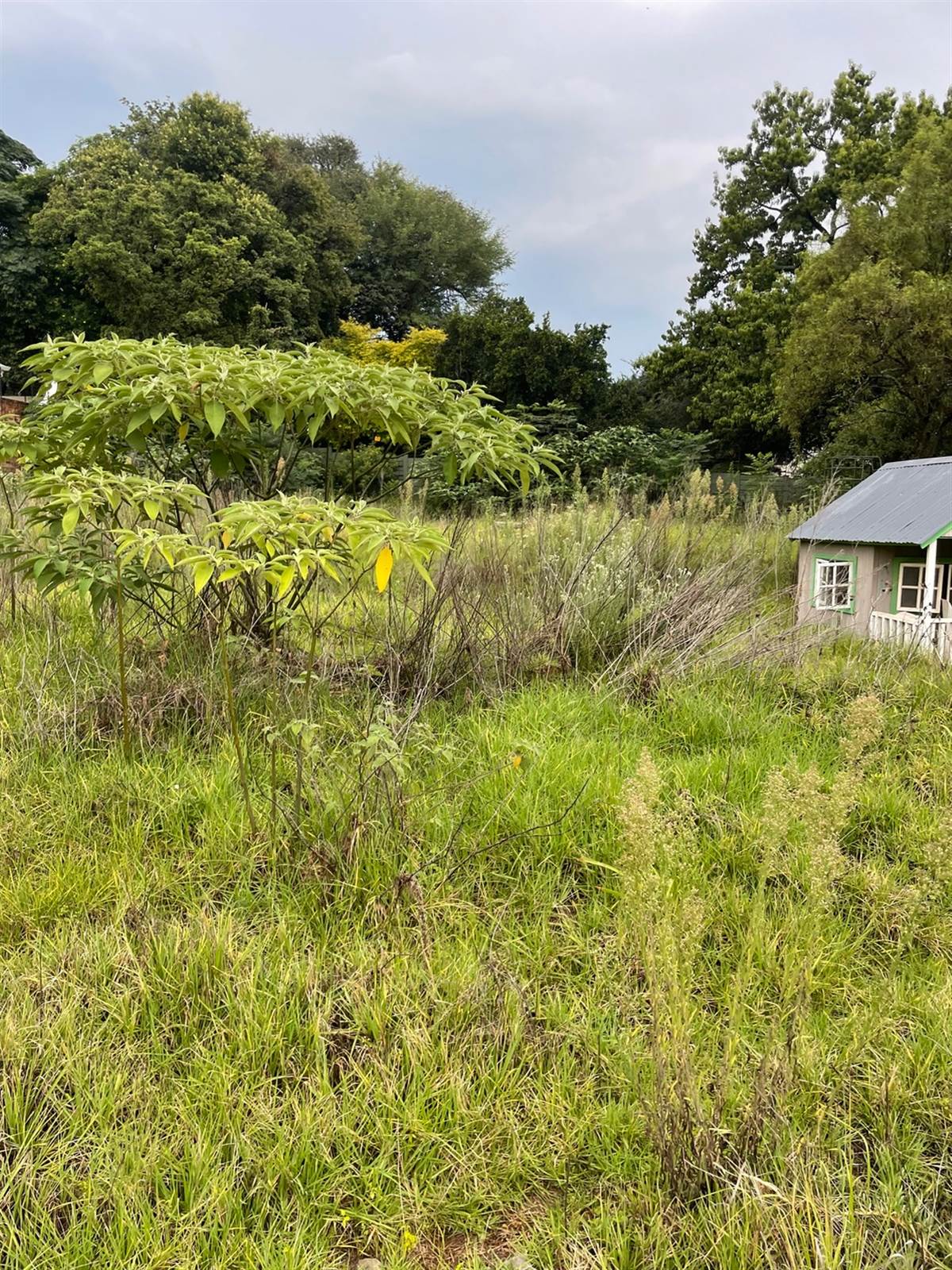 2200 m² Land available in Bryanston photo number 9
