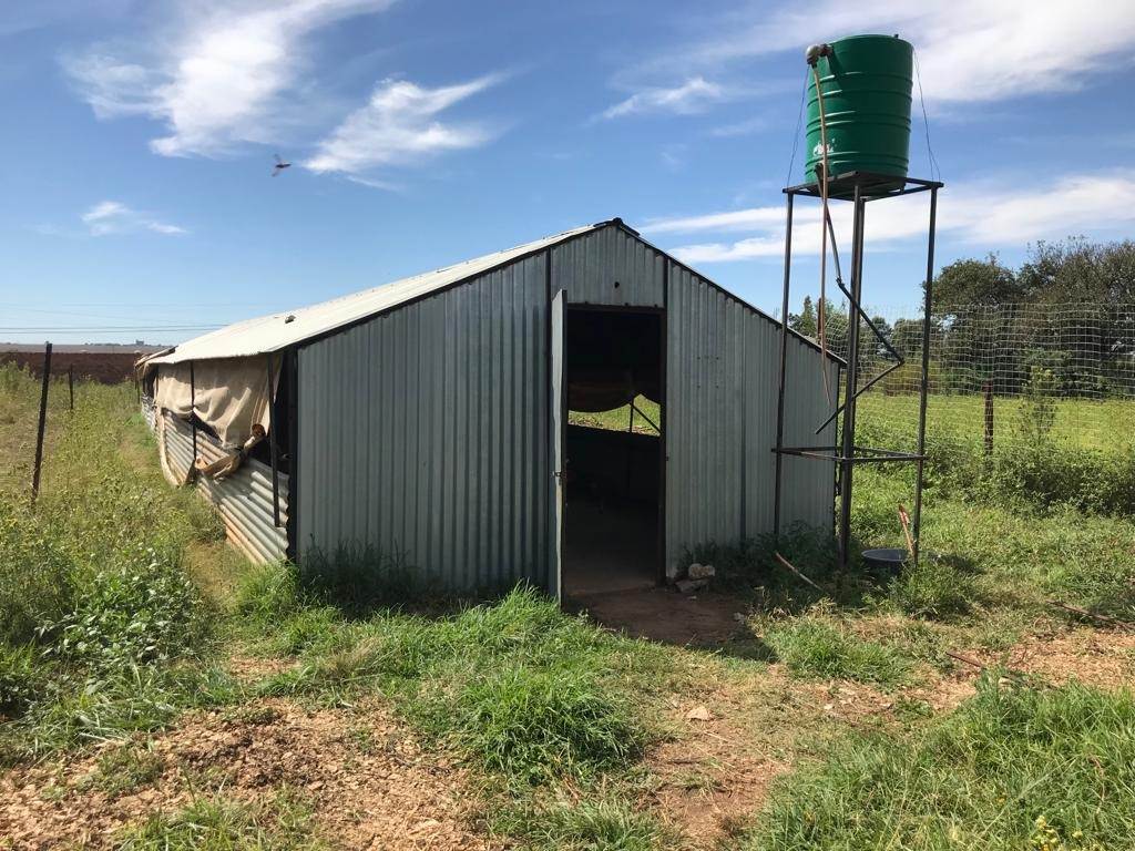 1 ha Farm in Putfontein photo number 13