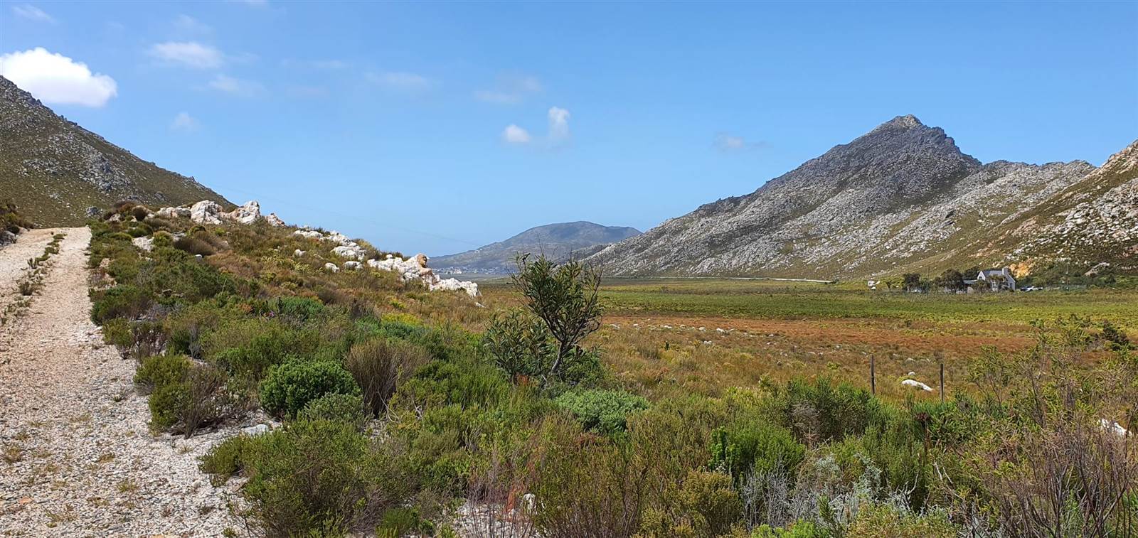 3 Bed House in Pringle Bay photo number 29