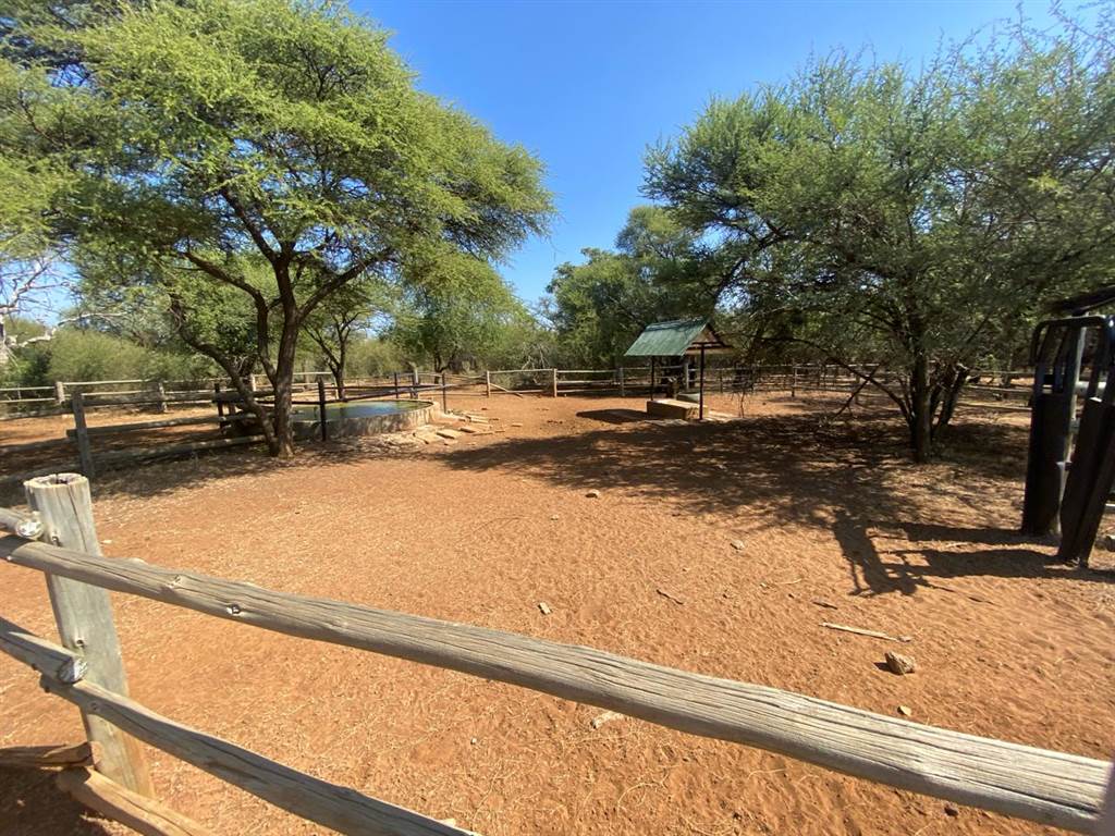 458 ha Farm in Thabazimbi photo number 7