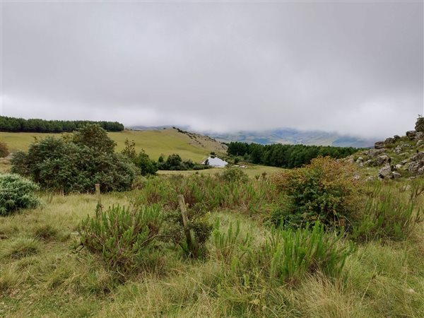 181.9 ha Land available in Sabie