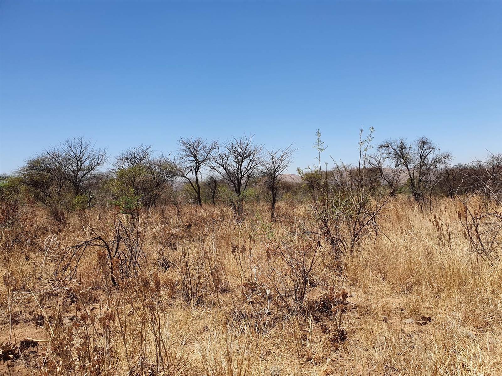 22.7 ha Land available in Rietfontein photo number 13