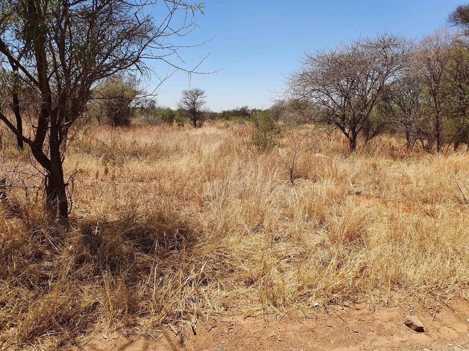 22.7 ha Land available in Rietfontein photo number 15
