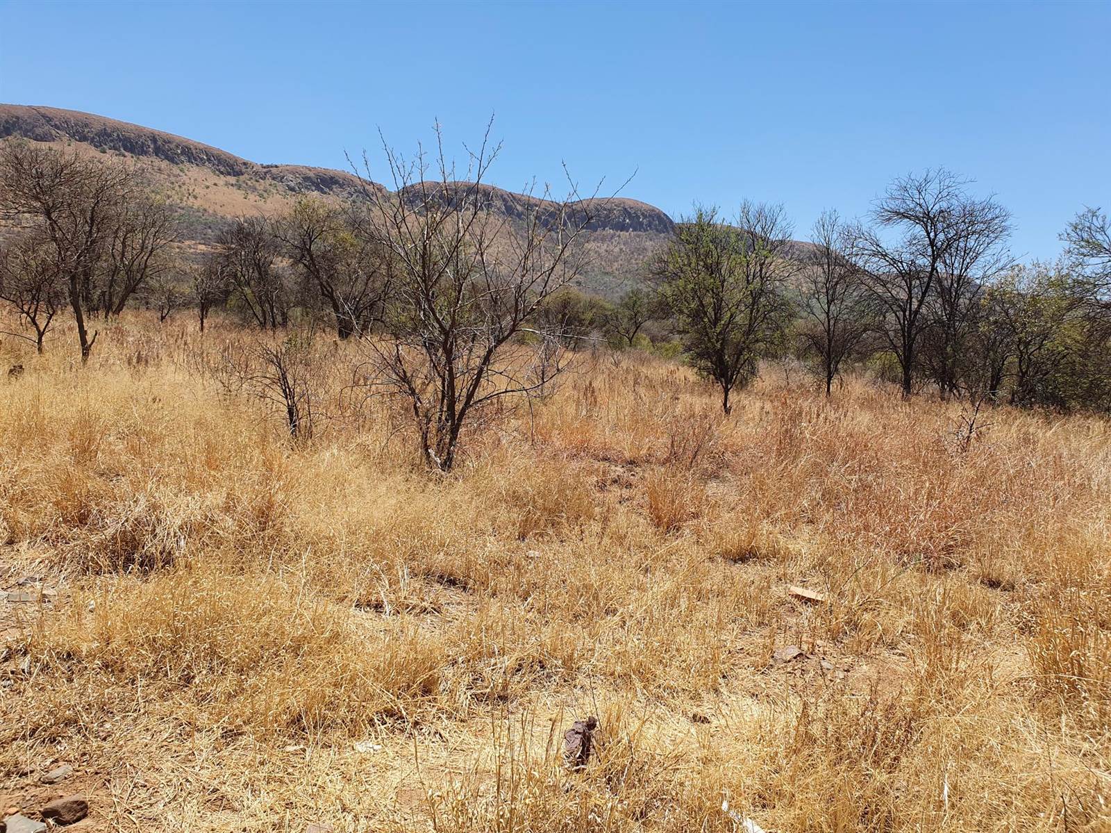 22.7 ha Land available in Rietfontein photo number 6