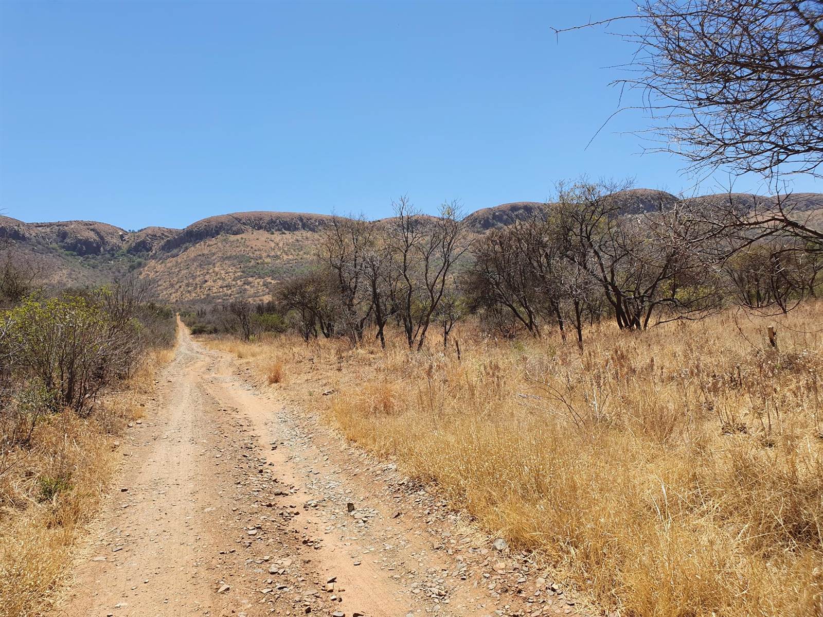 22.7 ha Land available in Rietfontein photo number 5