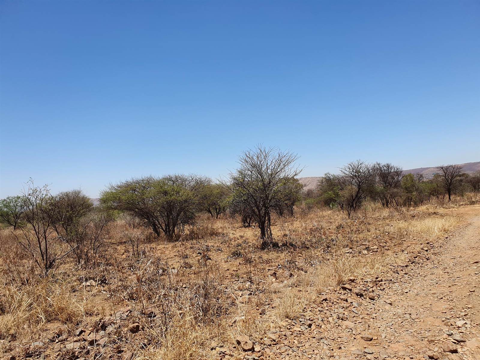 22.7 ha Land available in Rietfontein photo number 3