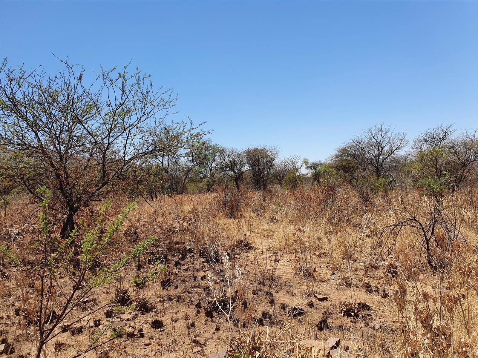 22.7 ha Land available in Rietfontein photo number 14