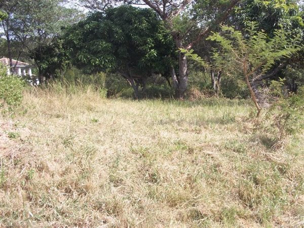 630 m² Land available in Lydenburg