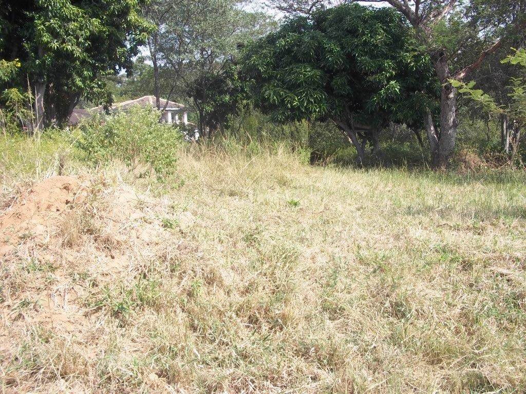 630 m² Land available in Lydenburg photo number 2