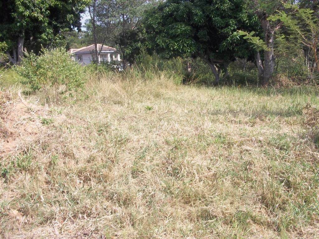 630 m² Land available in Lydenburg photo number 5