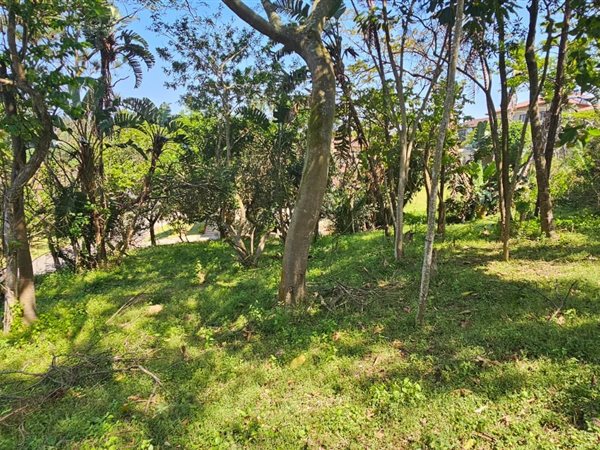 601 m² Land available in Pennington