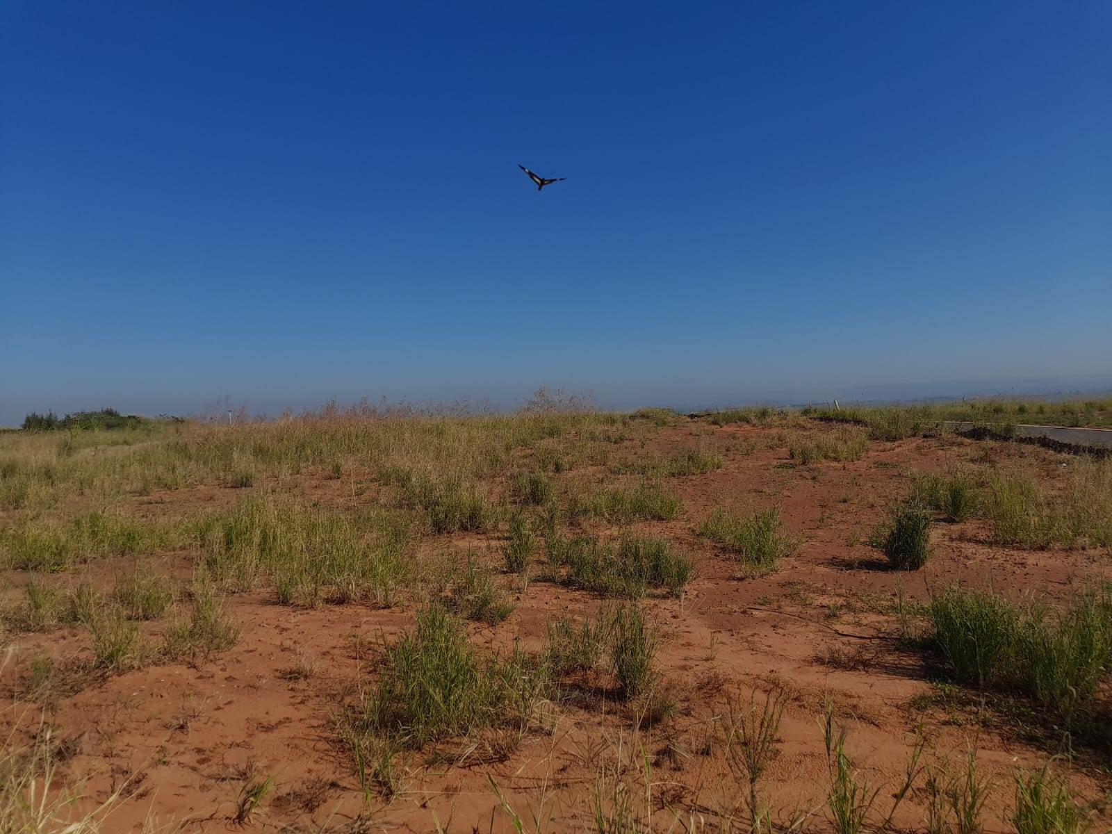 856 m² Land available in Umdloti photo number 3