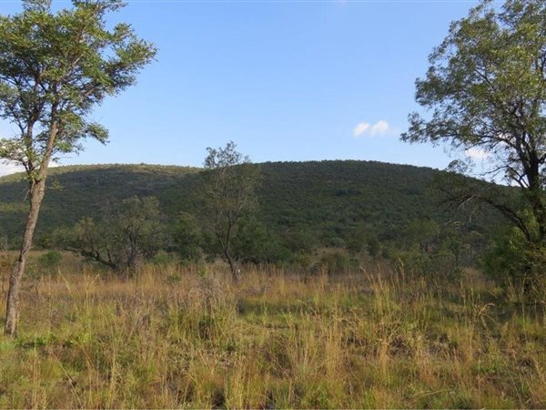 2 500 m² Land 2 500 m² Land