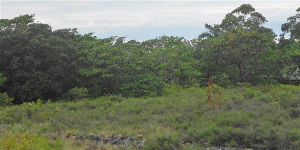 1018 m² Land available in Port Edward photo number 3