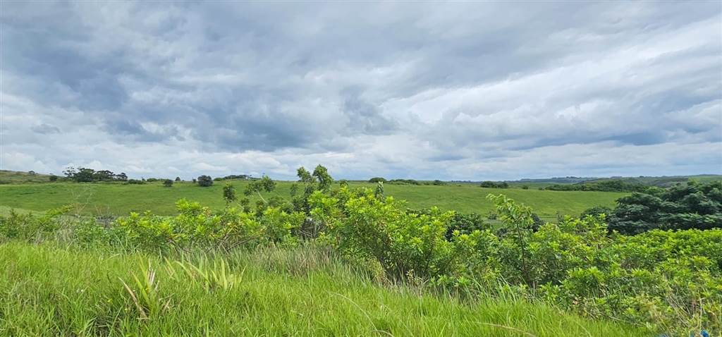 1014 m² Land available in Freeland Park photo number 6