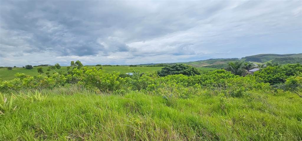 1014 m² Land available in Freeland Park photo number 10