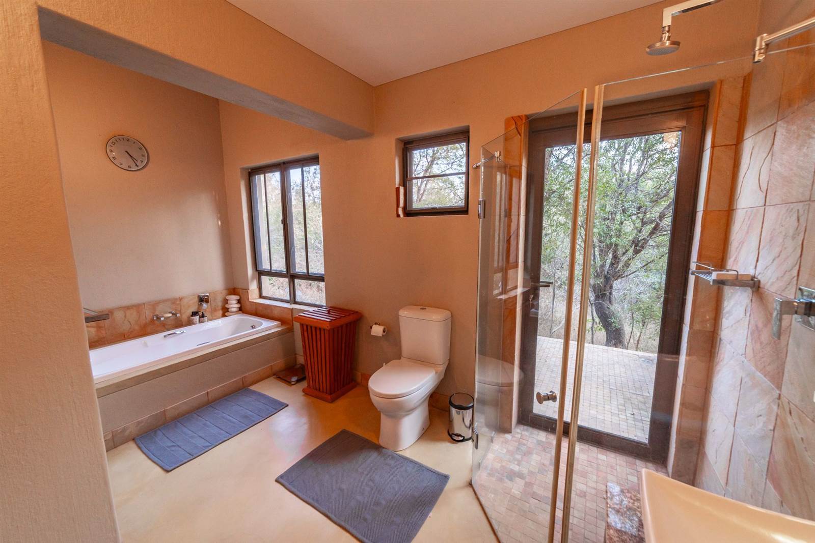 4 Bed House in Karongwe Private Game Reserve photo number 18