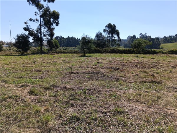9958 m² Land available in Howick