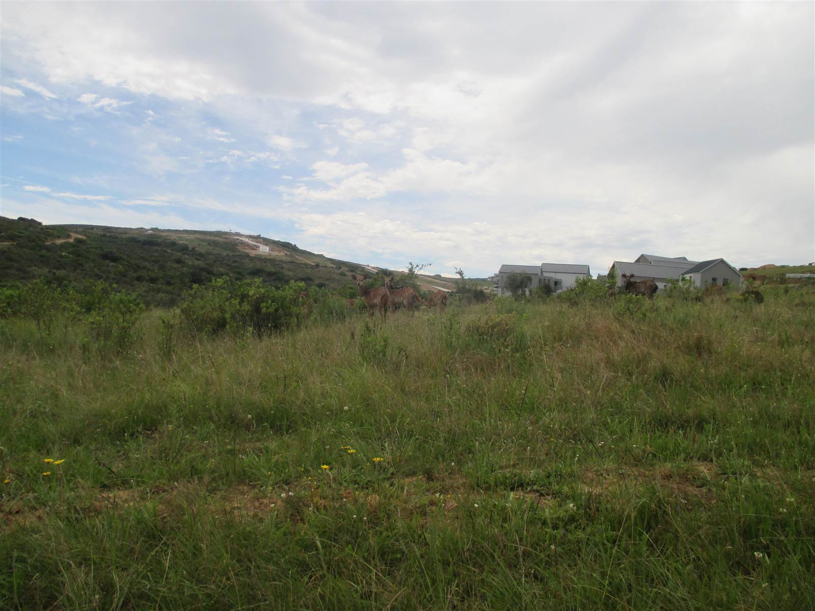 1504 m² Land available in Hartenbos photo number 21