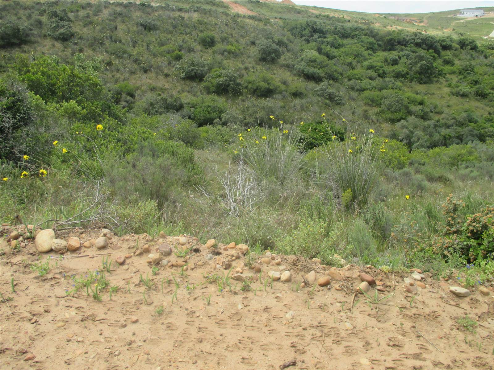 1504 m² Land available in Hartenbos photo number 19