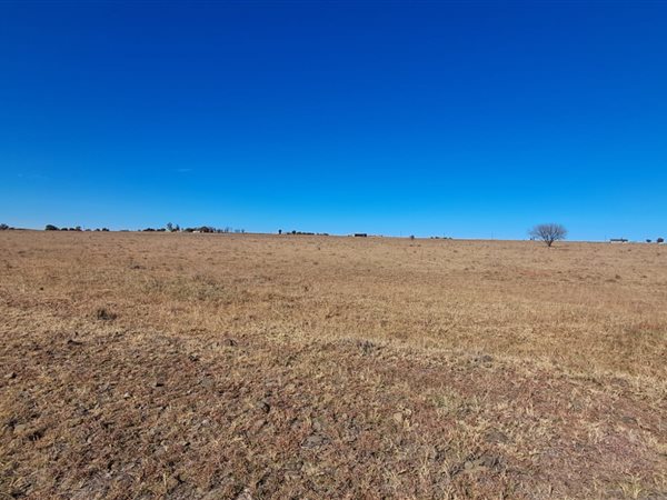 4.2 ha Land