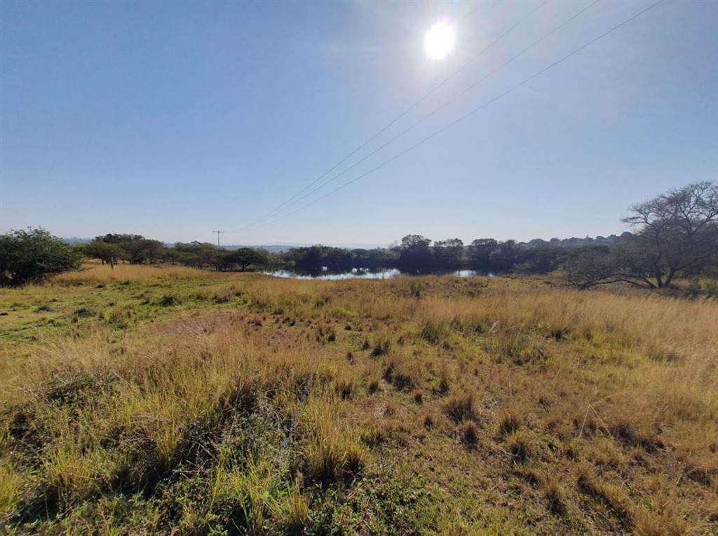 92.7 ha Land available in Lynnfield Park photo number 5
