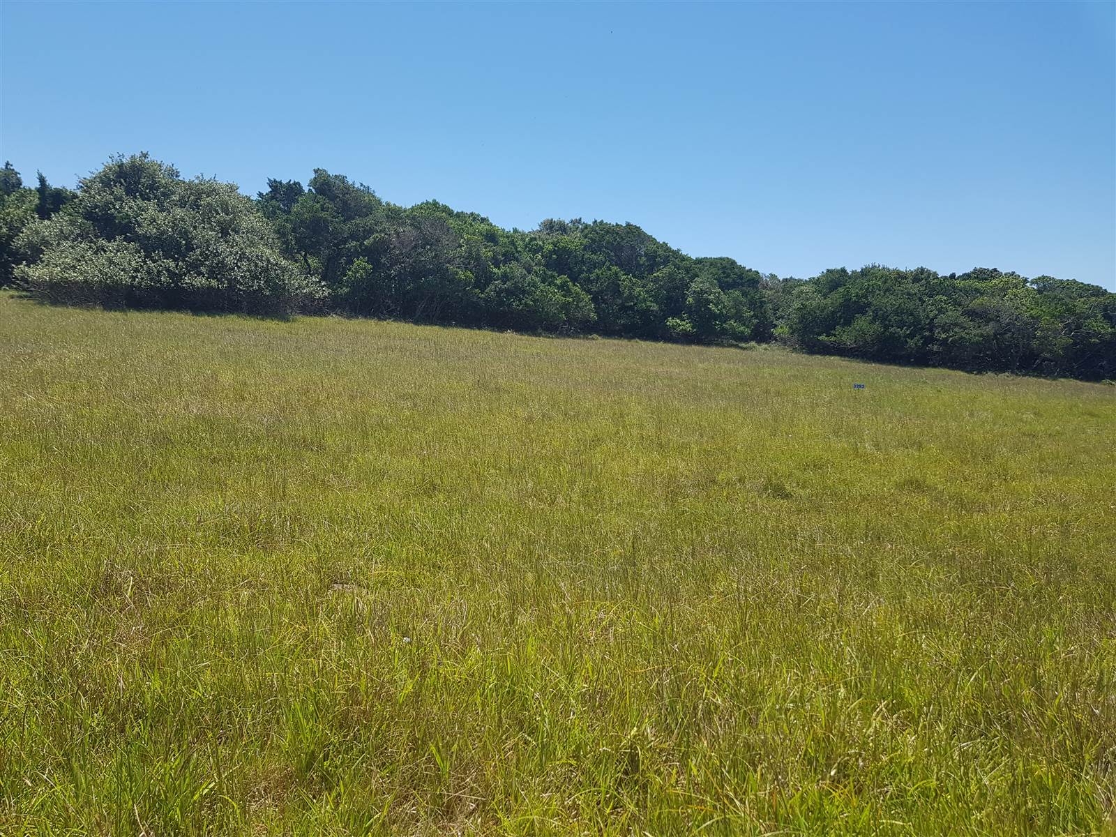823 m² Land available in Kenton-on-Sea photo number 8