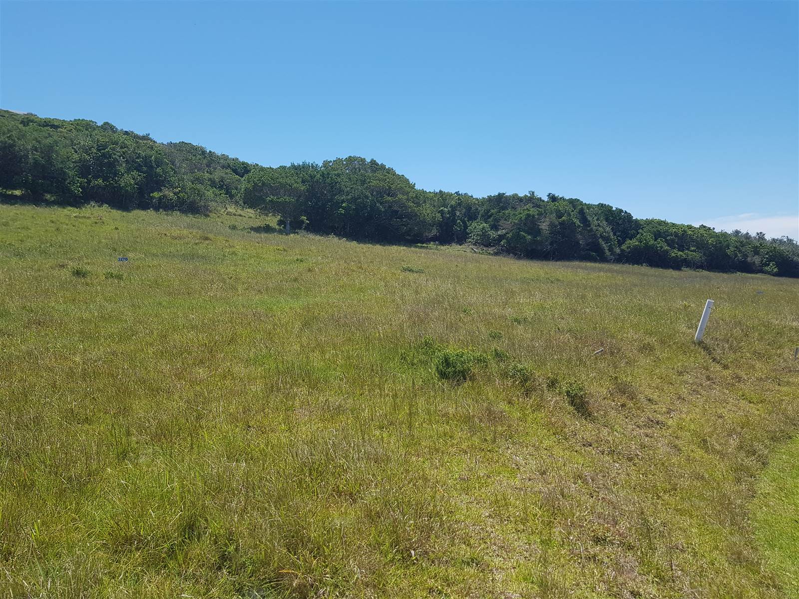 823 m² Land available in Kenton-on-Sea photo number 12