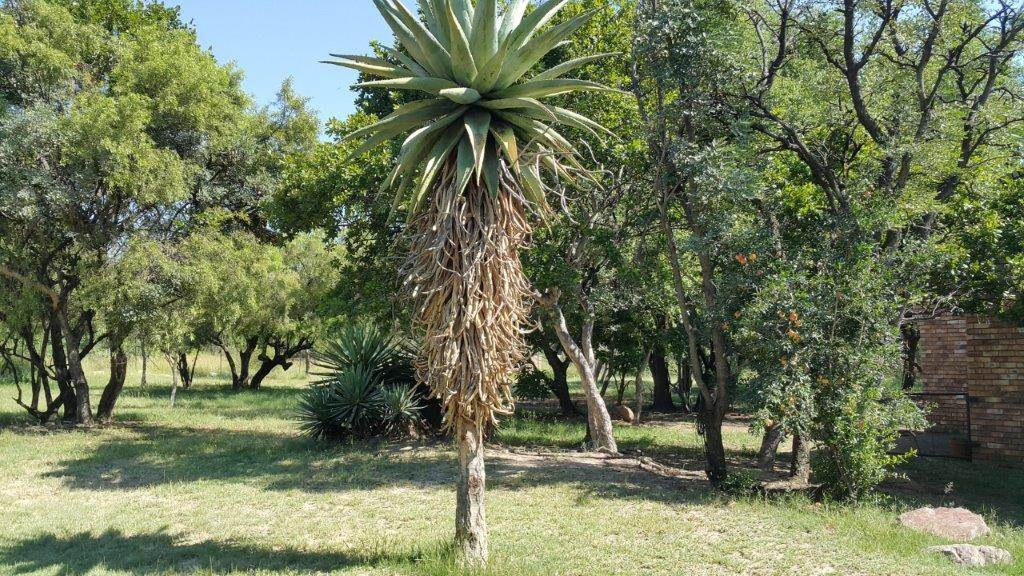 1 ha Land available in Pretoria North photo number 5
