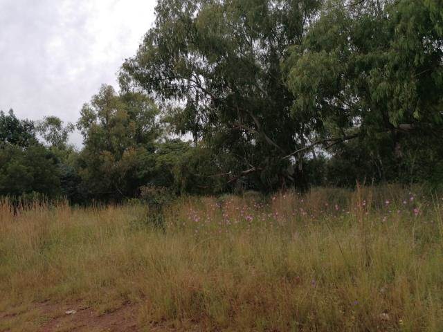 8982 m² Land available in Highbury photo number 2