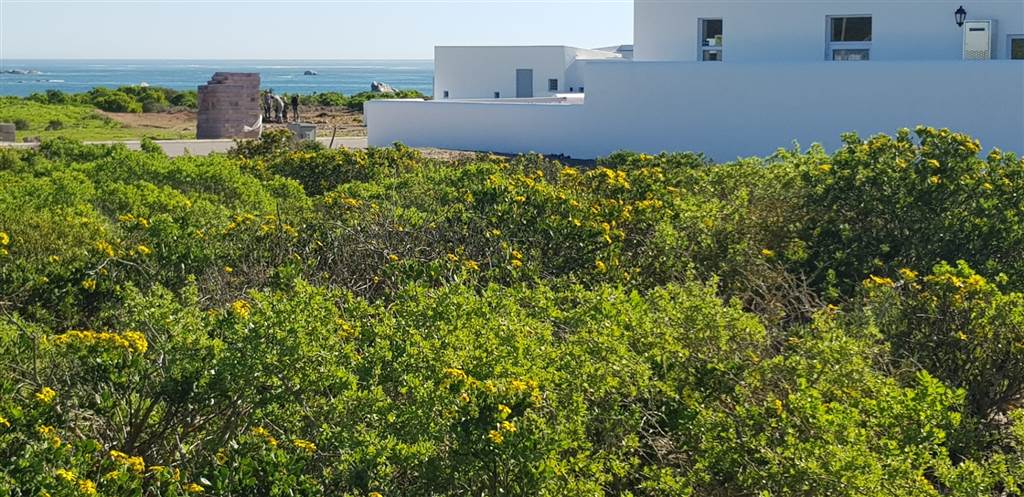 537 m² Land available in Paternoster photo number 4
