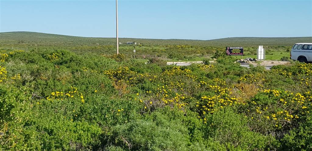 537 m² Land available in Paternoster photo number 6