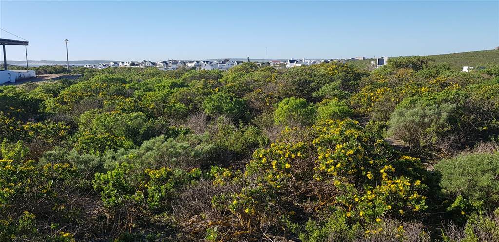 537 m² Land available in Paternoster photo number 9
