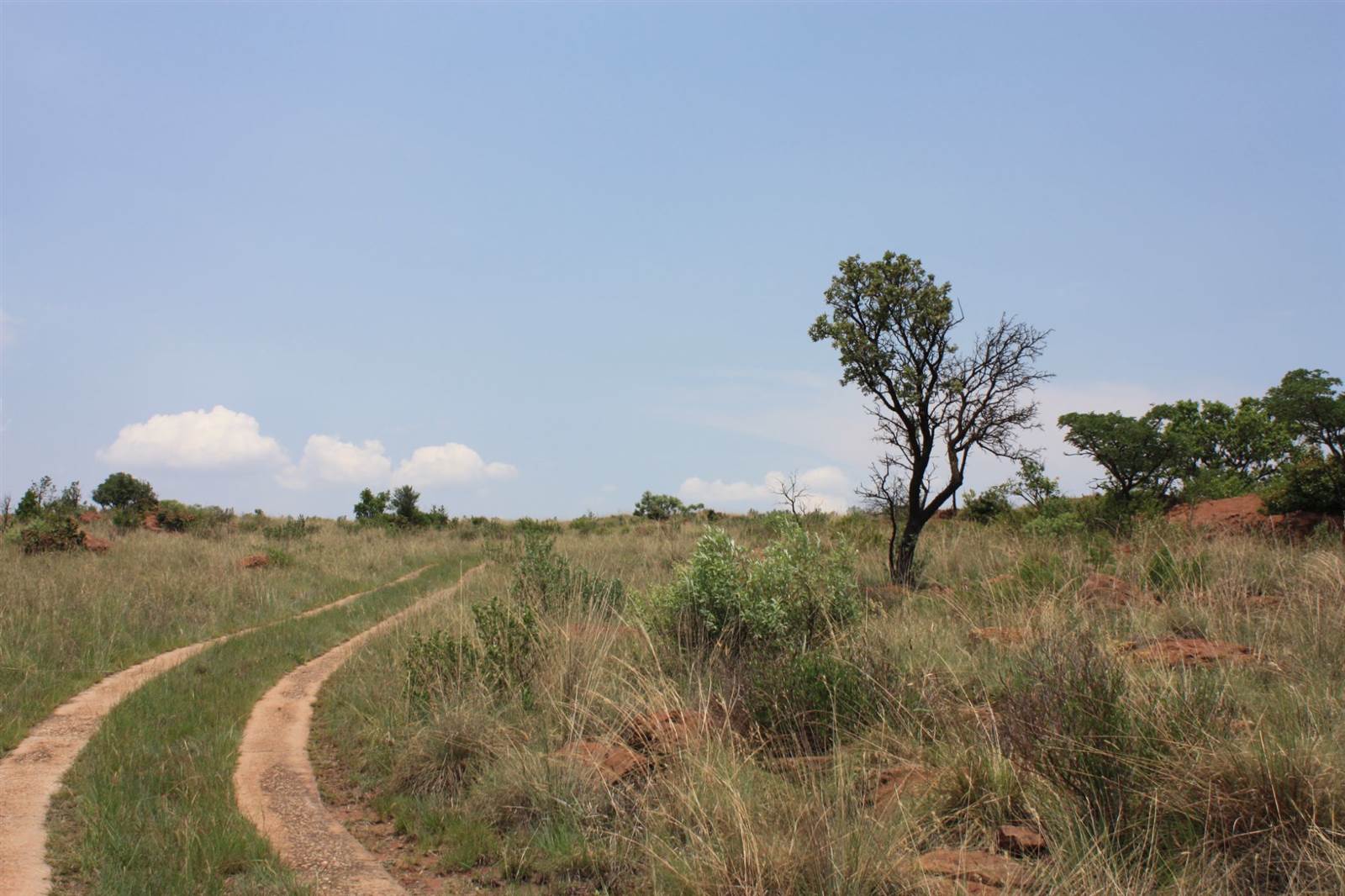 21.4 ha Land available in Bronkhorstspruit photo number 21