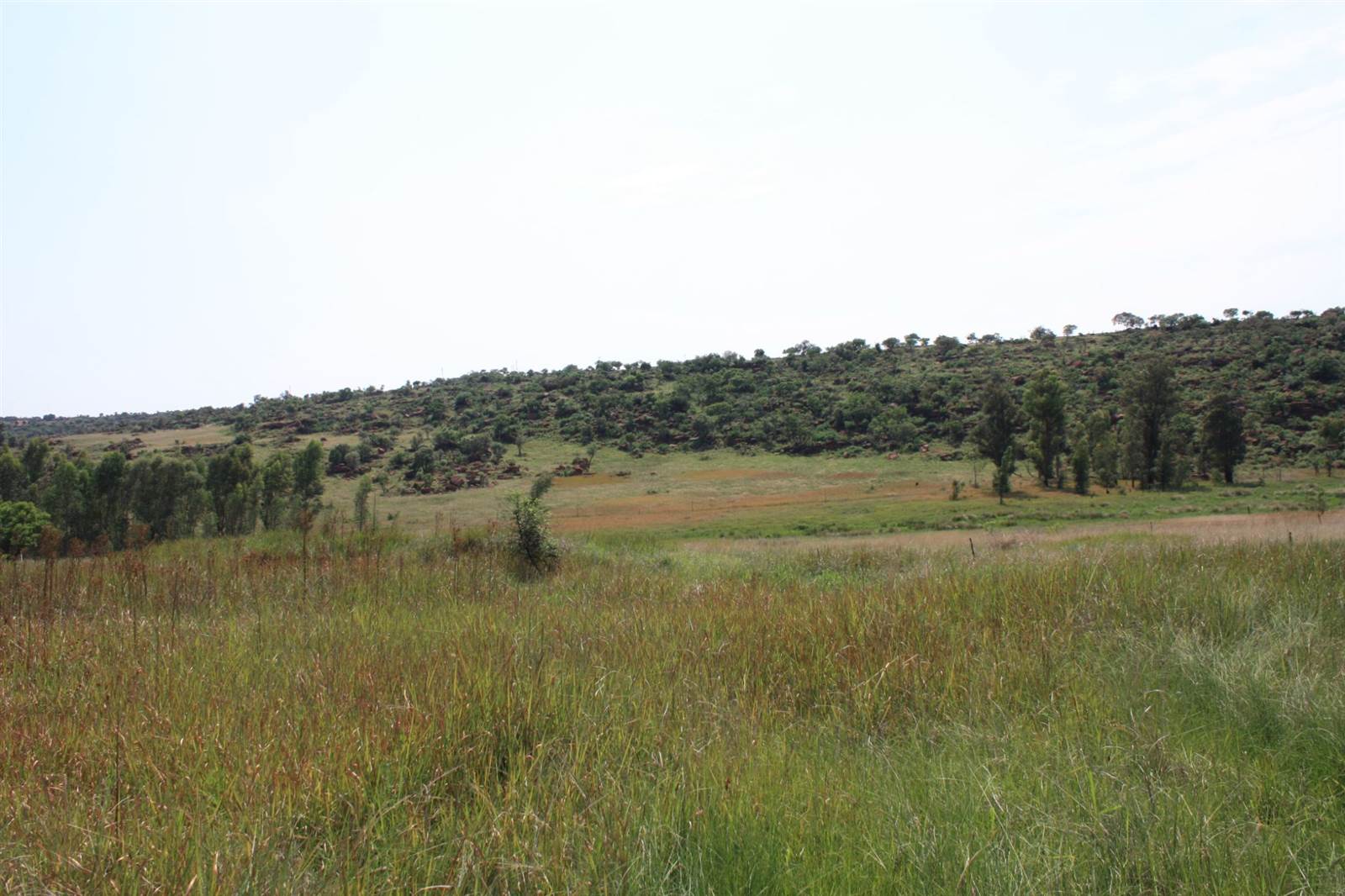21.4 ha Land available in Bronkhorstspruit photo number 4