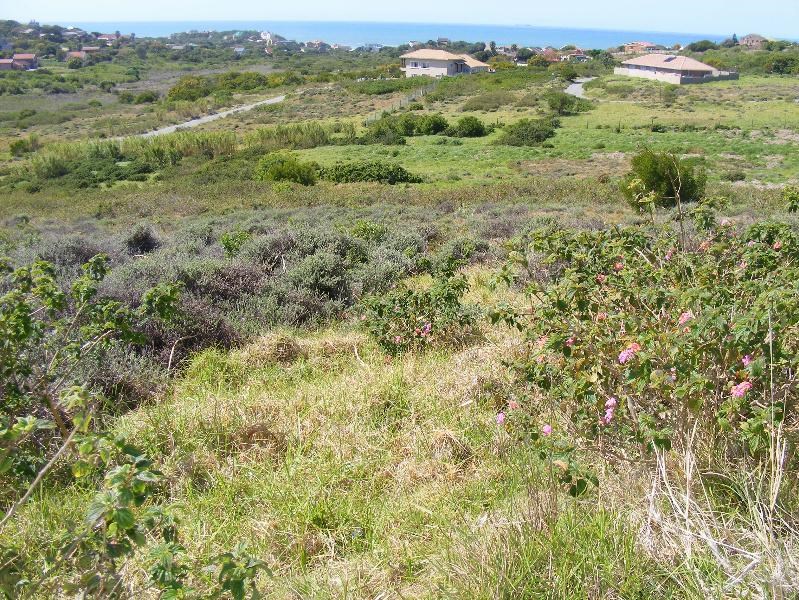1745 m² Land available in Port Alfred photo number 1