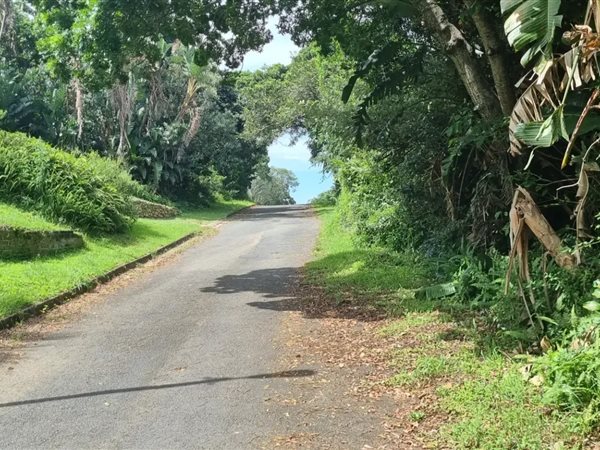 1391 m² Land available in Palm Beach