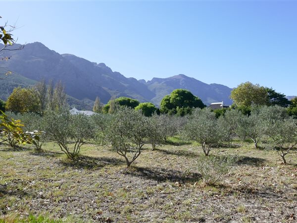 7 246 m² Farm