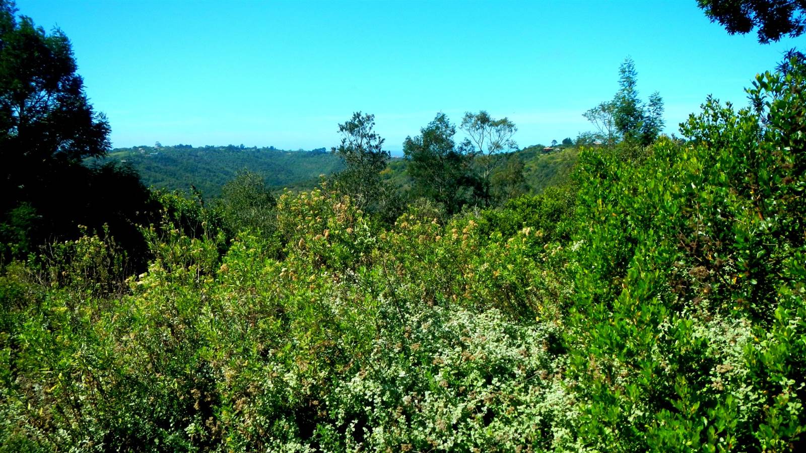 5 ha Land available in Wilderness Heights photo number 2