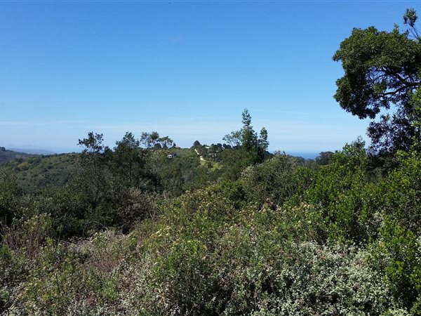 5 ha Land available in Wilderness Heights