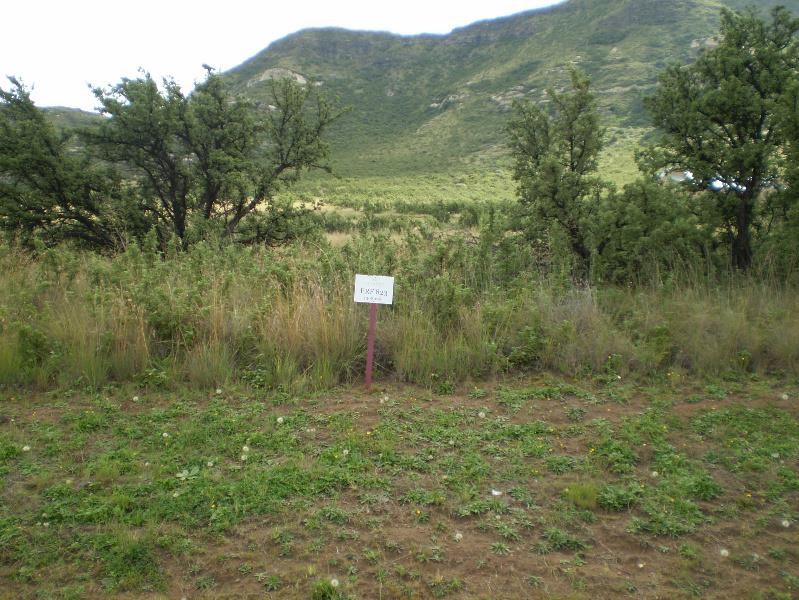 1398 m² Land available in Clarens photo number 5