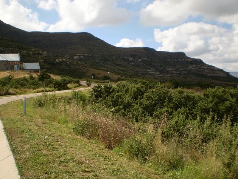 1398 m² Land available in Clarens photo number 3