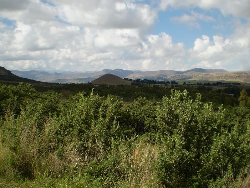 1398 m² Land available in Clarens photo number 1