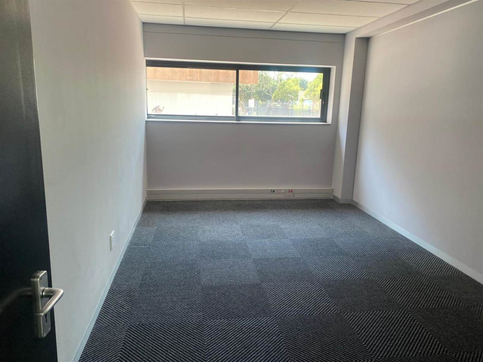 1280  m² Commercial space in Parktown photo number 8