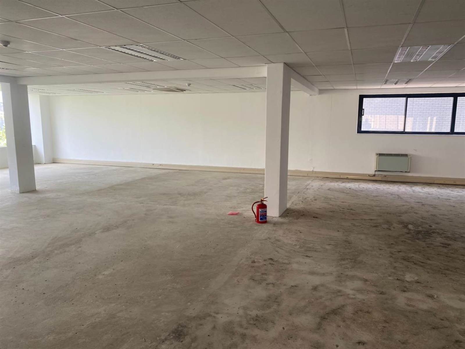 1280  m² Commercial space in Parktown photo number 6