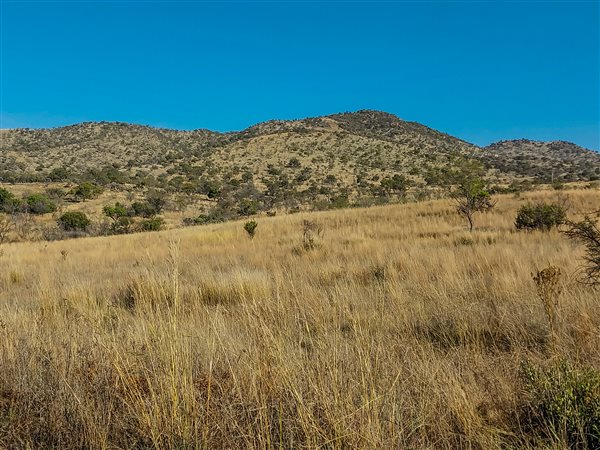 65.1 ha Land available in Broederstroom