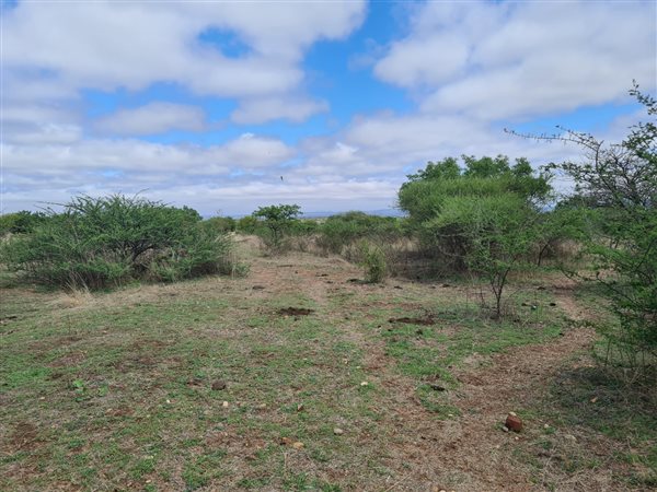 24.8 ha Farm in Tweefontein
