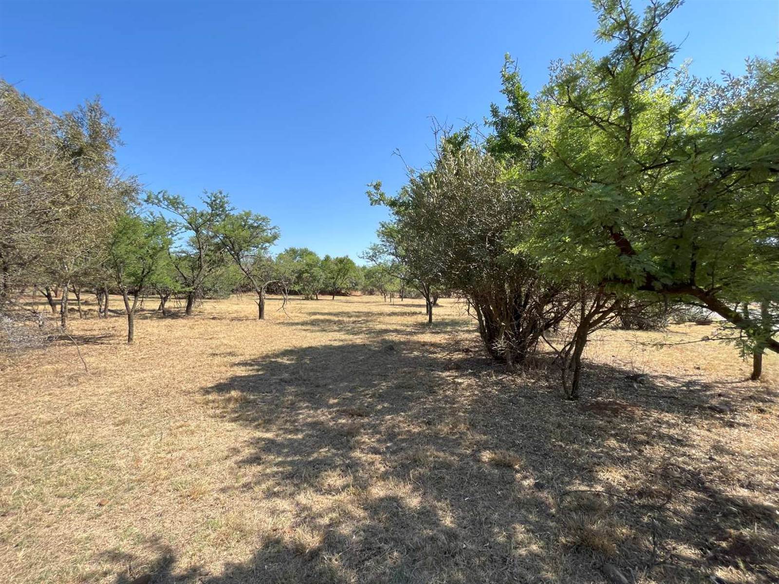 980 m² Land available in Buffelspoort photo number 7