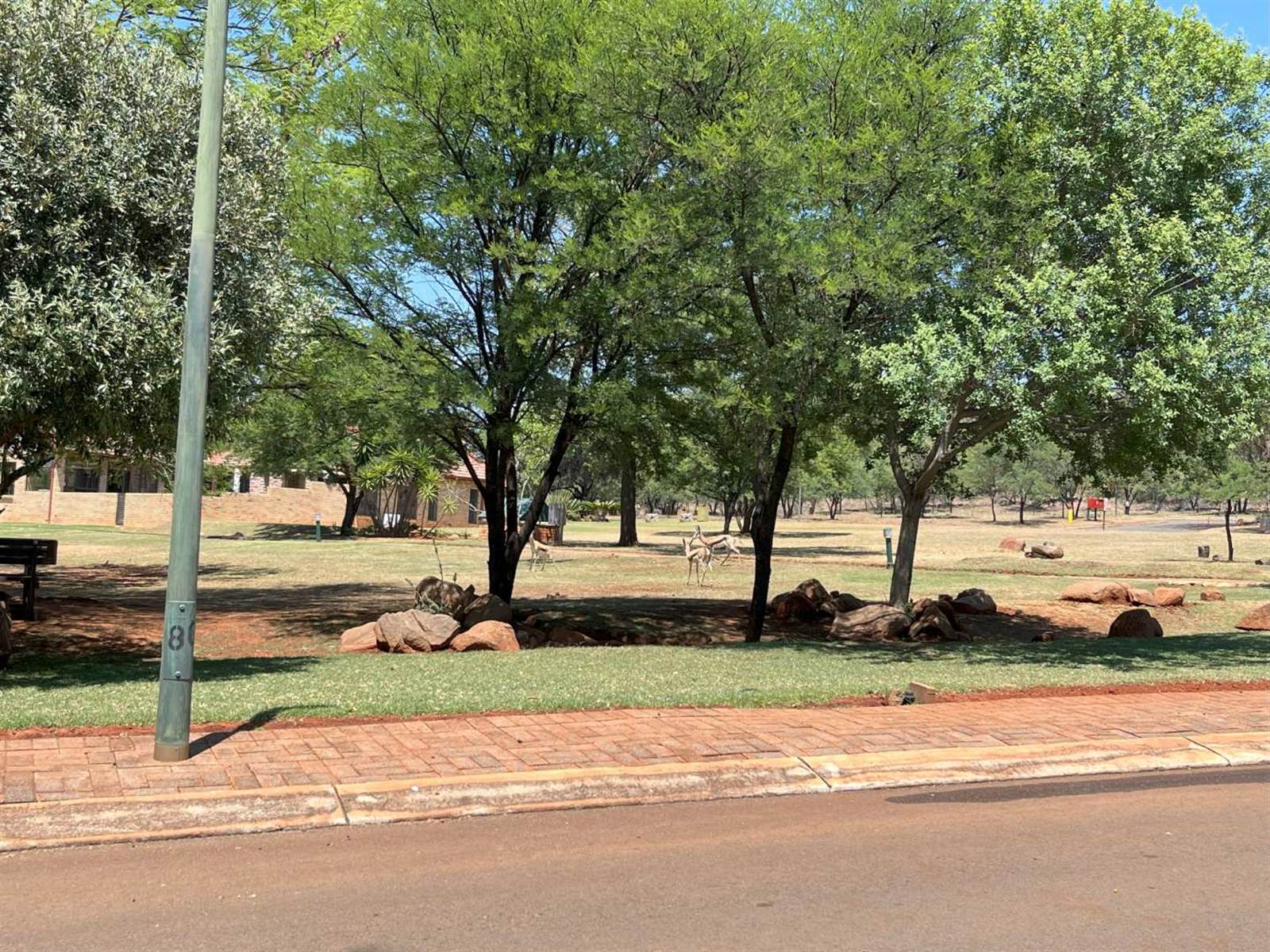 980 m² Land available in Buffelspoort photo number 16
